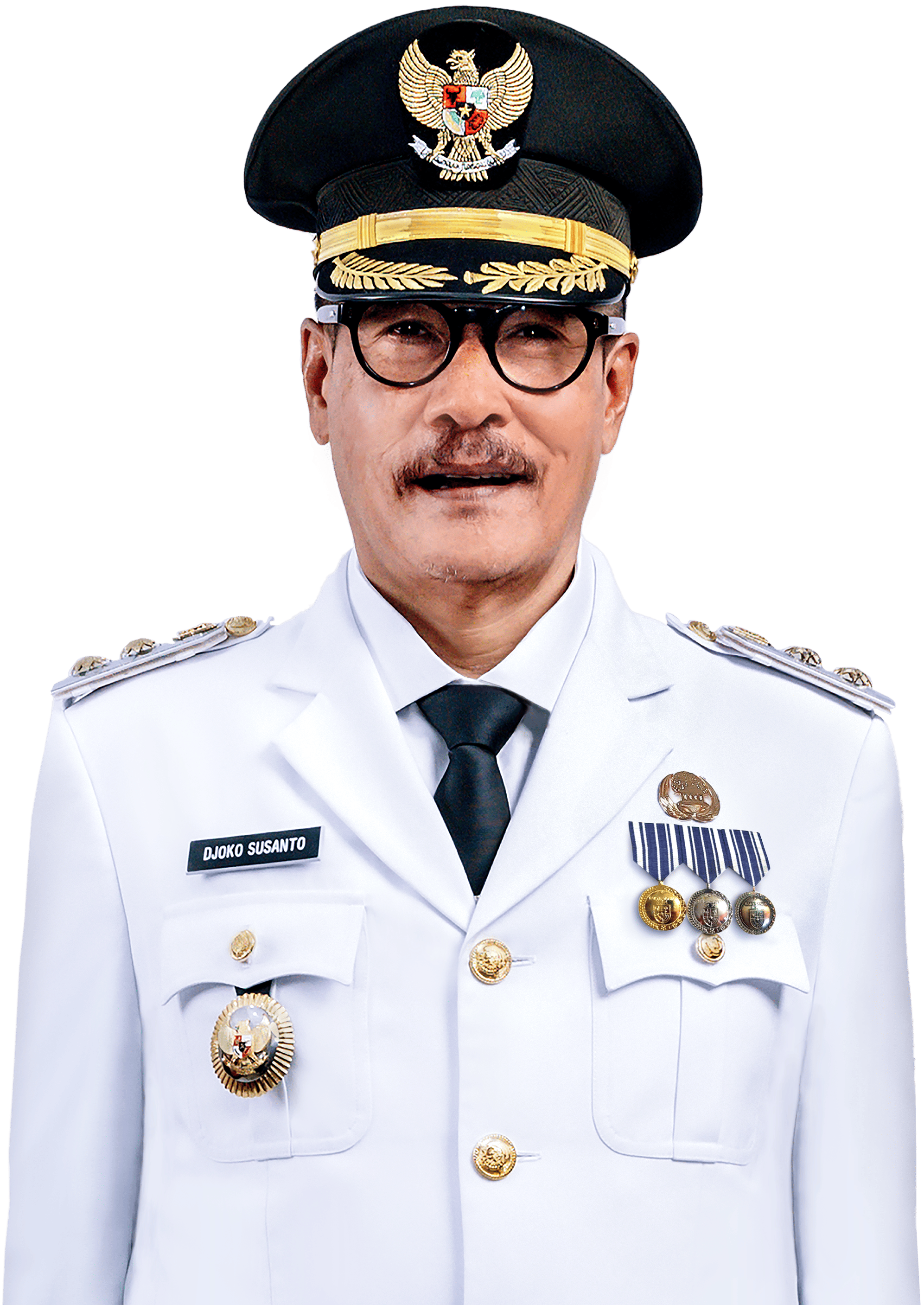 Wakil Bupati Jember